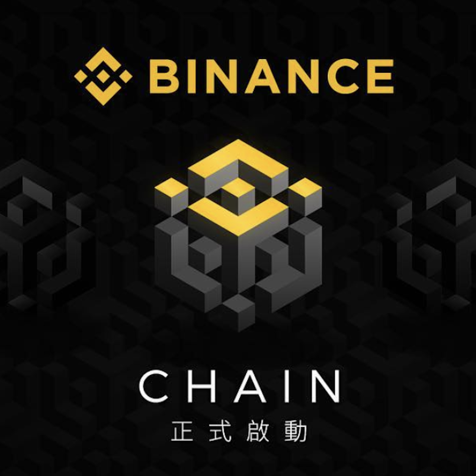 Binance Is Launching Its Own Blockchain