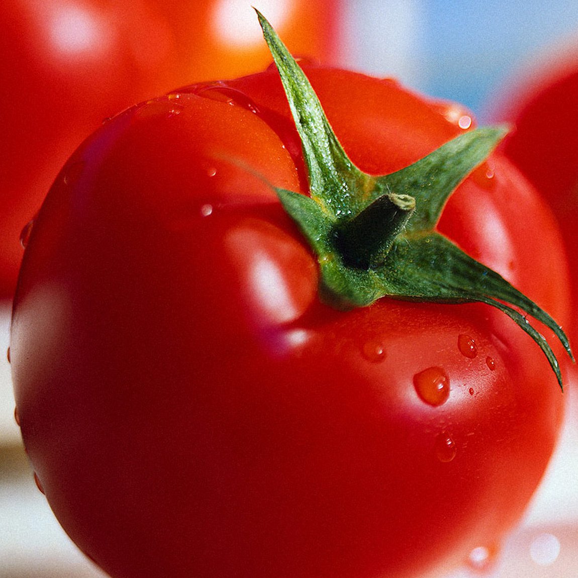 'Cryptomatoes' Using Excess Mining Heat to Grow Produce