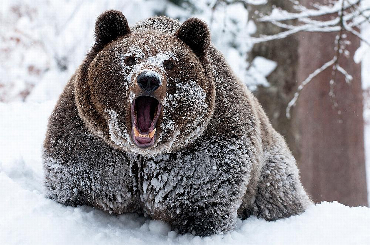 The 2018 Crypto-Bear Market Less Severe Than 2014, At Least for Now The 2018 Crypto-Bear Market Less Severe Than 2014, At Least for Now