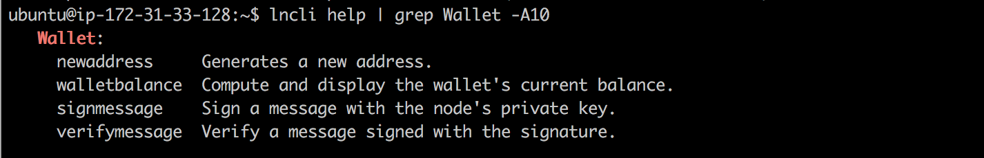 A Look at What Its Like to Operate the Lightning Network's Largest Node