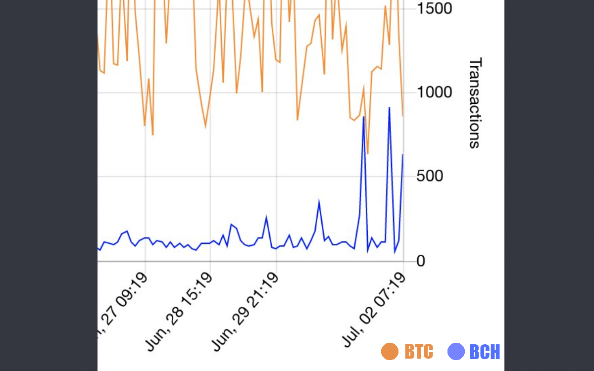Preparations for the Bitcoin Cash Stress Test Day Begin Preparations for the Bitcoin Cash Stress Test Day Begin
