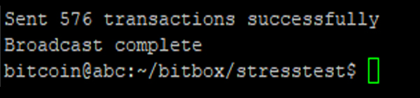 Preparations for the Bitcoin Cash Stress Test Day Begin Preparations for the Bitcoin Cash Stress Test Day Begin
