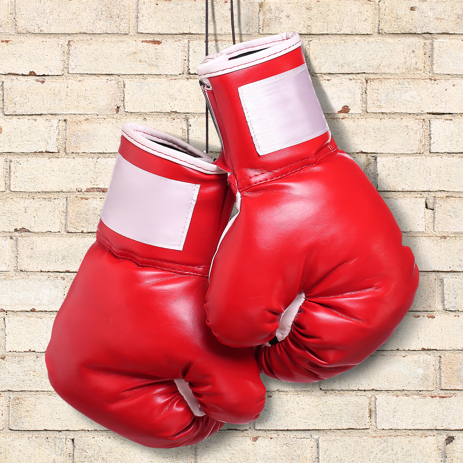 Bitcoin Millionaire Erik Finman Challenges Jamie Dimon to a Boxing Match