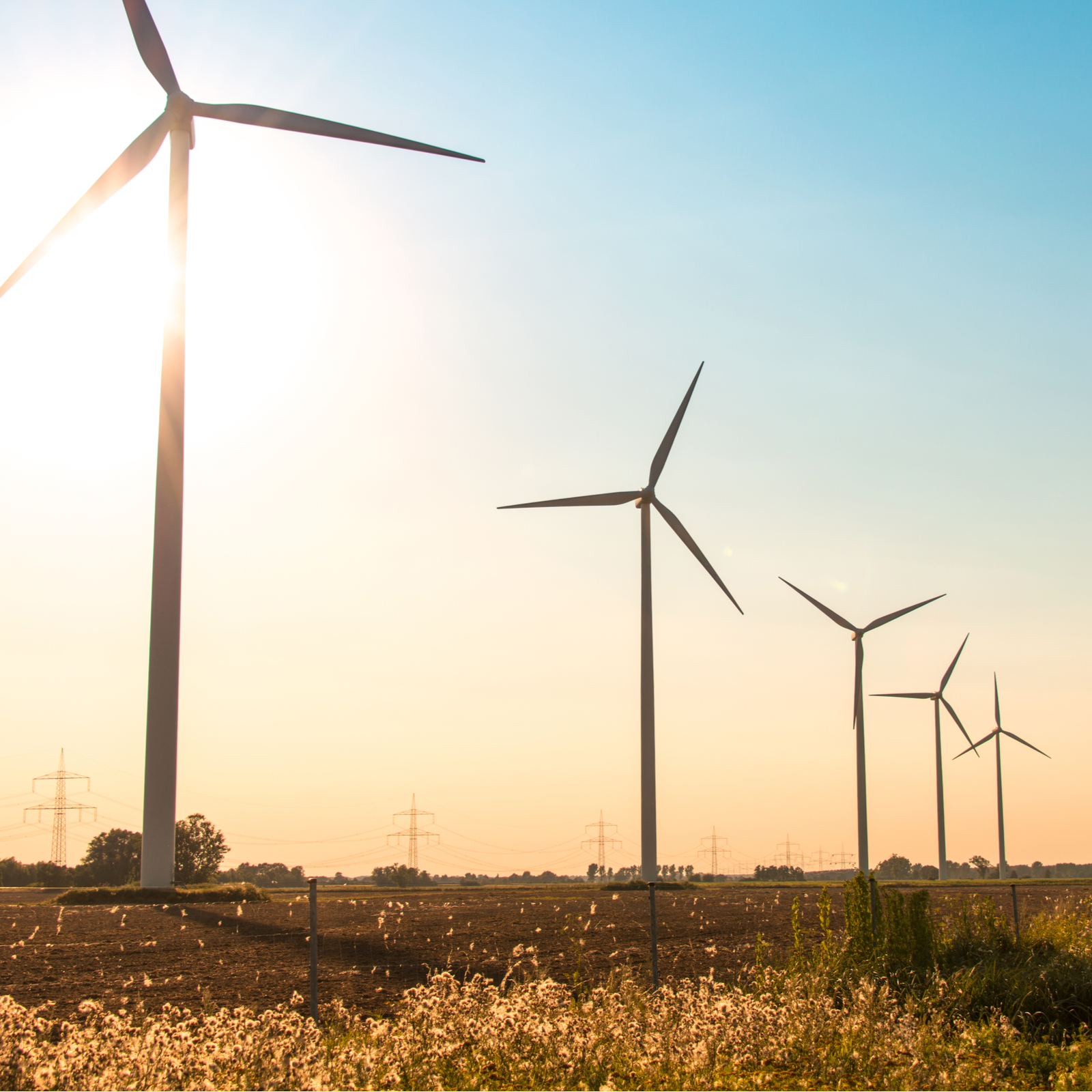 Bitcoin Mining News: Brookstone to Build Wind Farm in Morocco, Québec Increases Rates