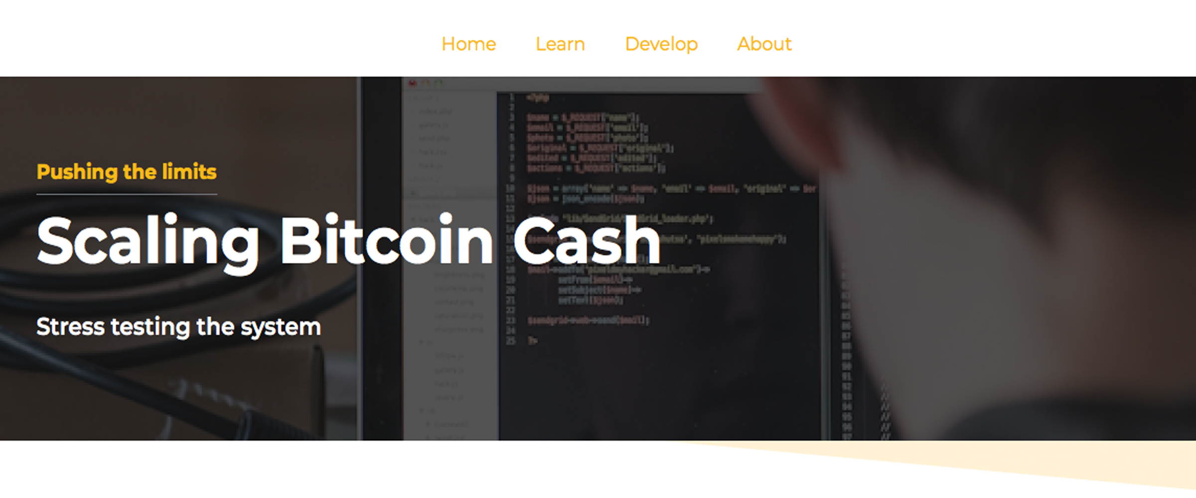BCH Stress Testers Will Put Pressure on the Network in Two Weeks BCH Stress Testers Will Put Pressure on the Network in Two Weeks