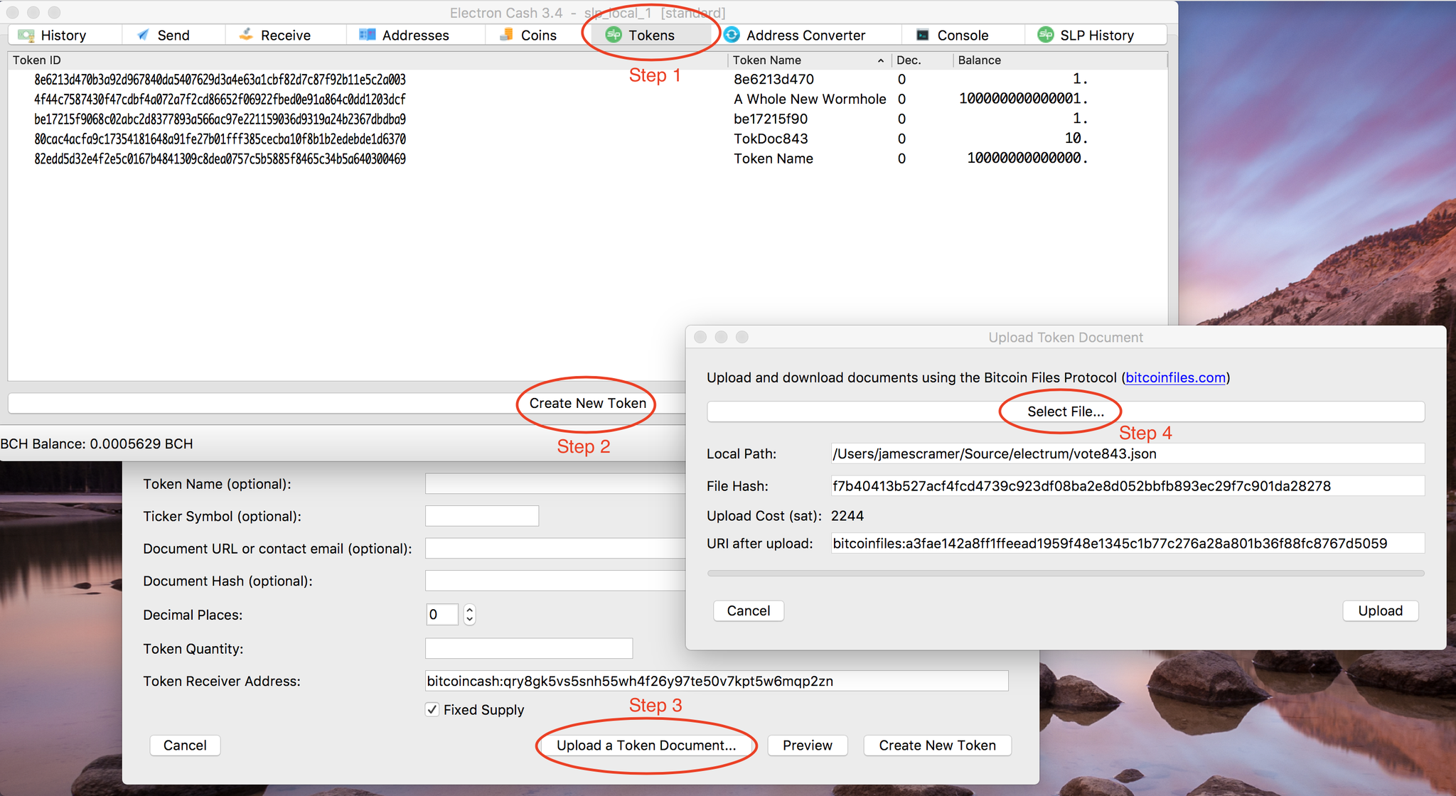 The Bitcoin Files Protocol Provides a BCH Secured File Storage System The Bitcoin Files Protocol Provides a BCH Secured File Storage System