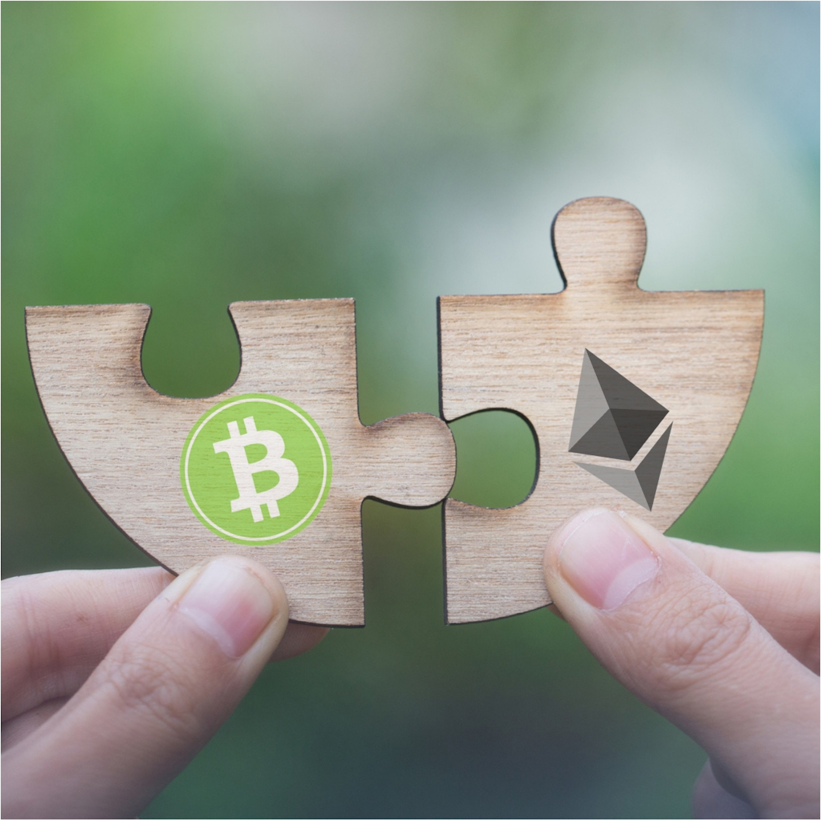 Four Alternatives to Shapeshift