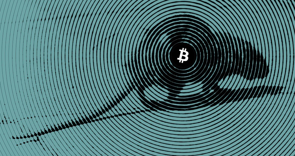 A Bitcoin Rat Is Occupying Wall Street A Bitcoin Rat Is Occupying Wall Street