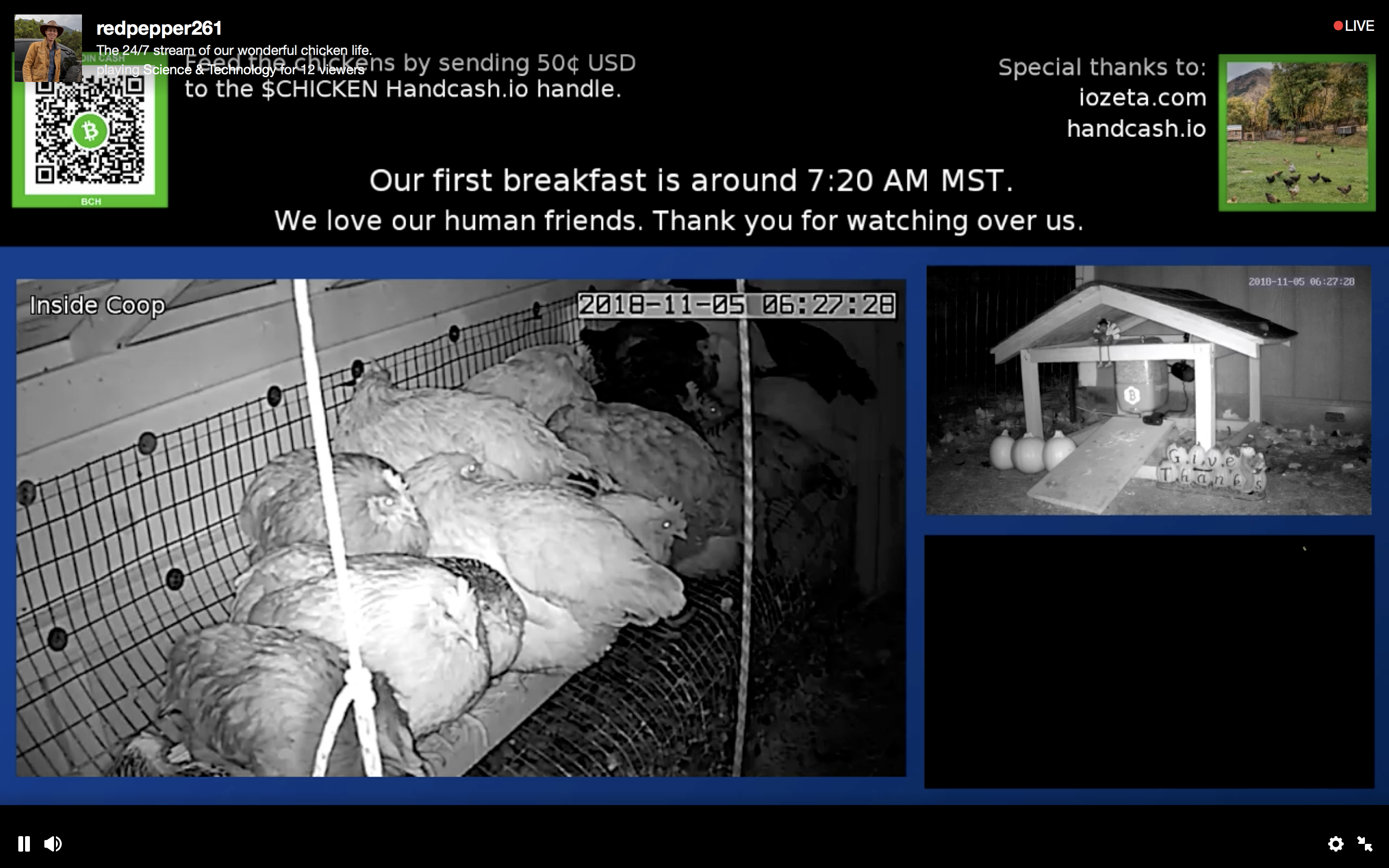 This Chicken Coop Feeder Is Powered by Bitcoin Cash Payments in Real Time This Chicken Coop Feeder Is Powered by Bitcoin Cash Payments in Real Time