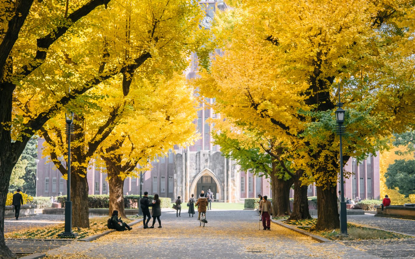 Universities in New York, Tokyo and Luxembourg Support Crypto Development