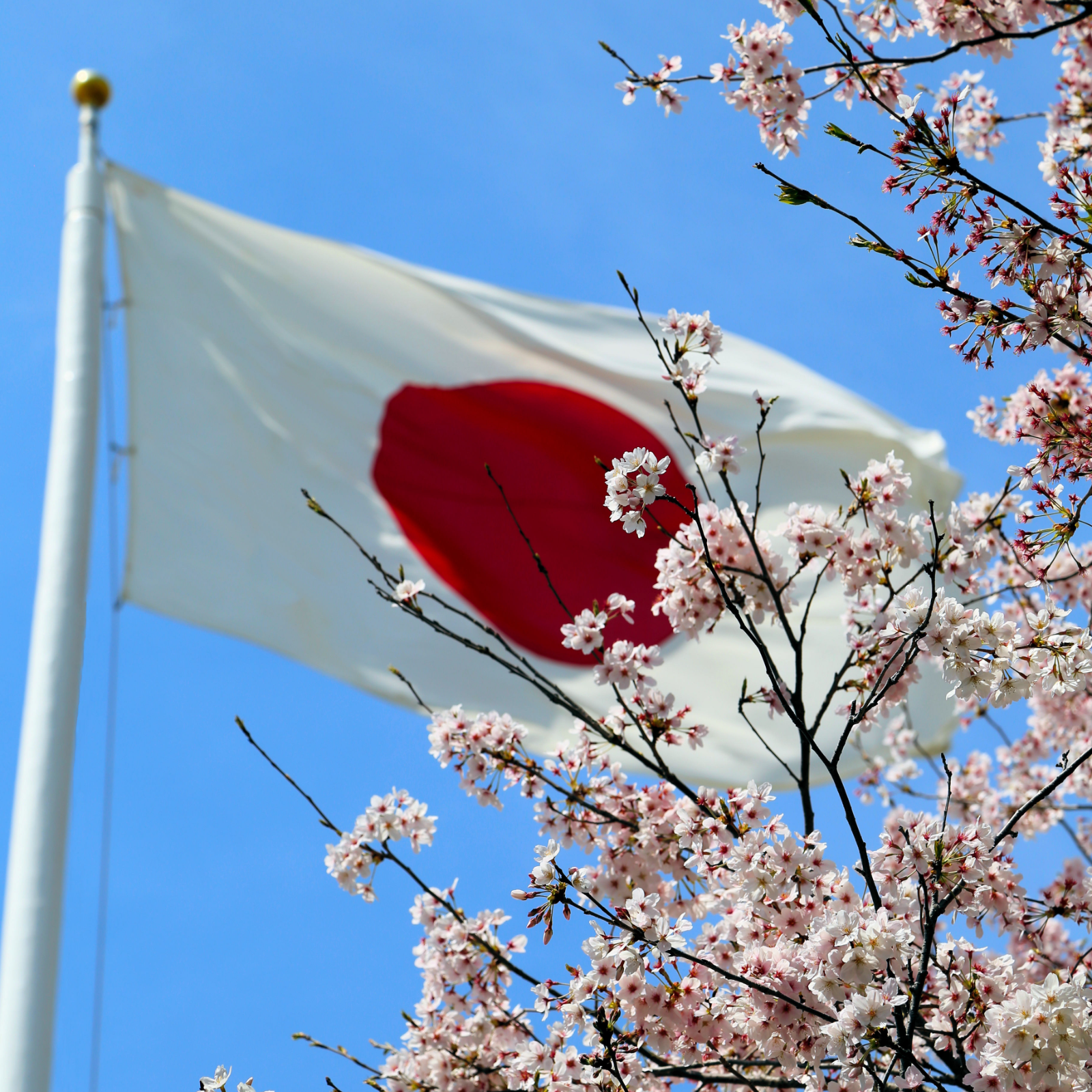 Japan Reveals Expectations for Cryptocurrency Industry Self-Regulation