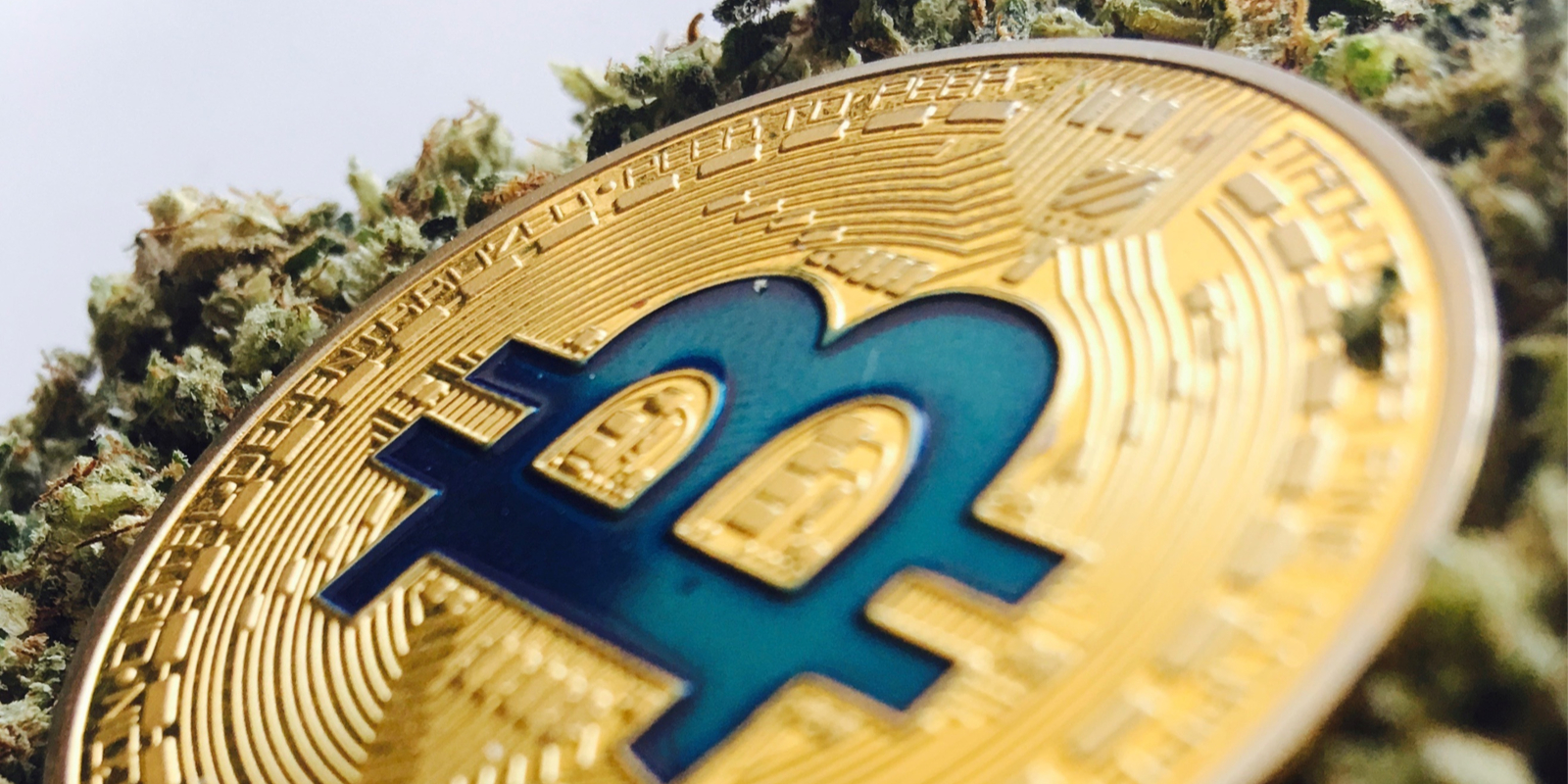 Esports, Cannabis and BCH: First AMA With Bitcoin.com CEO Stefan Rust