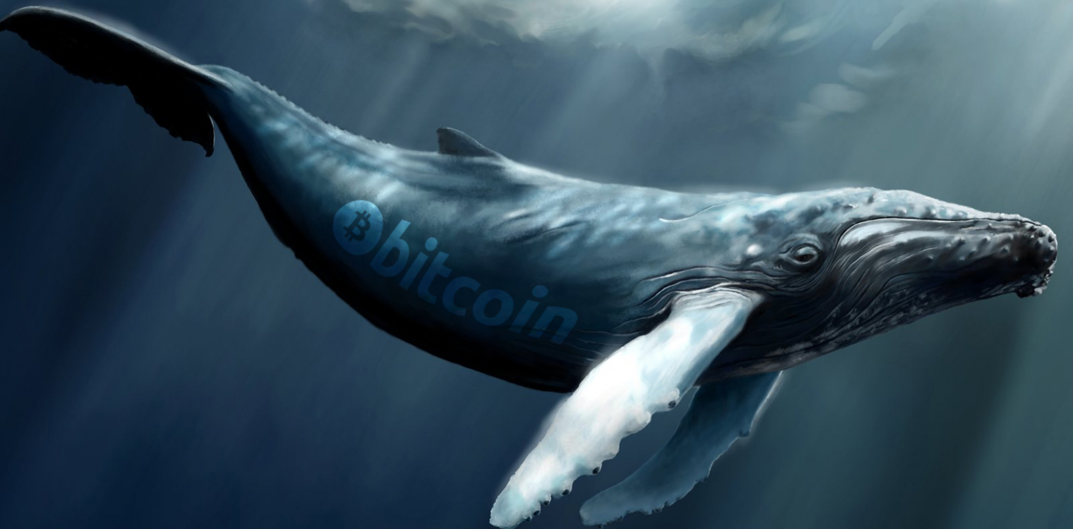 While Markets Move Sideways, Crypto Whale Sightings Increase