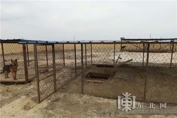 Chinese Kennel Owner Caught Stealing Electricity to Power Underground Bitcoin Mining Farm Chinese Kennel Owner Caught Stealing Electricity to Power Underground Bitcoin Mining Farm