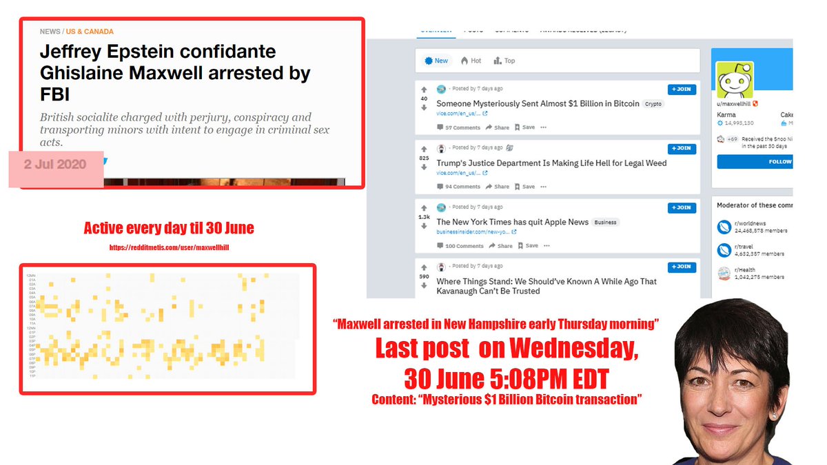 Jeffrey Epstein Confidant Ghislaine Maxwell's Last Reddit Post Was About Bitcoin