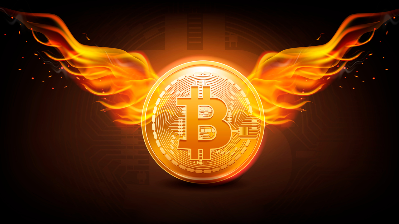 Bitcoin Private Key Kzone