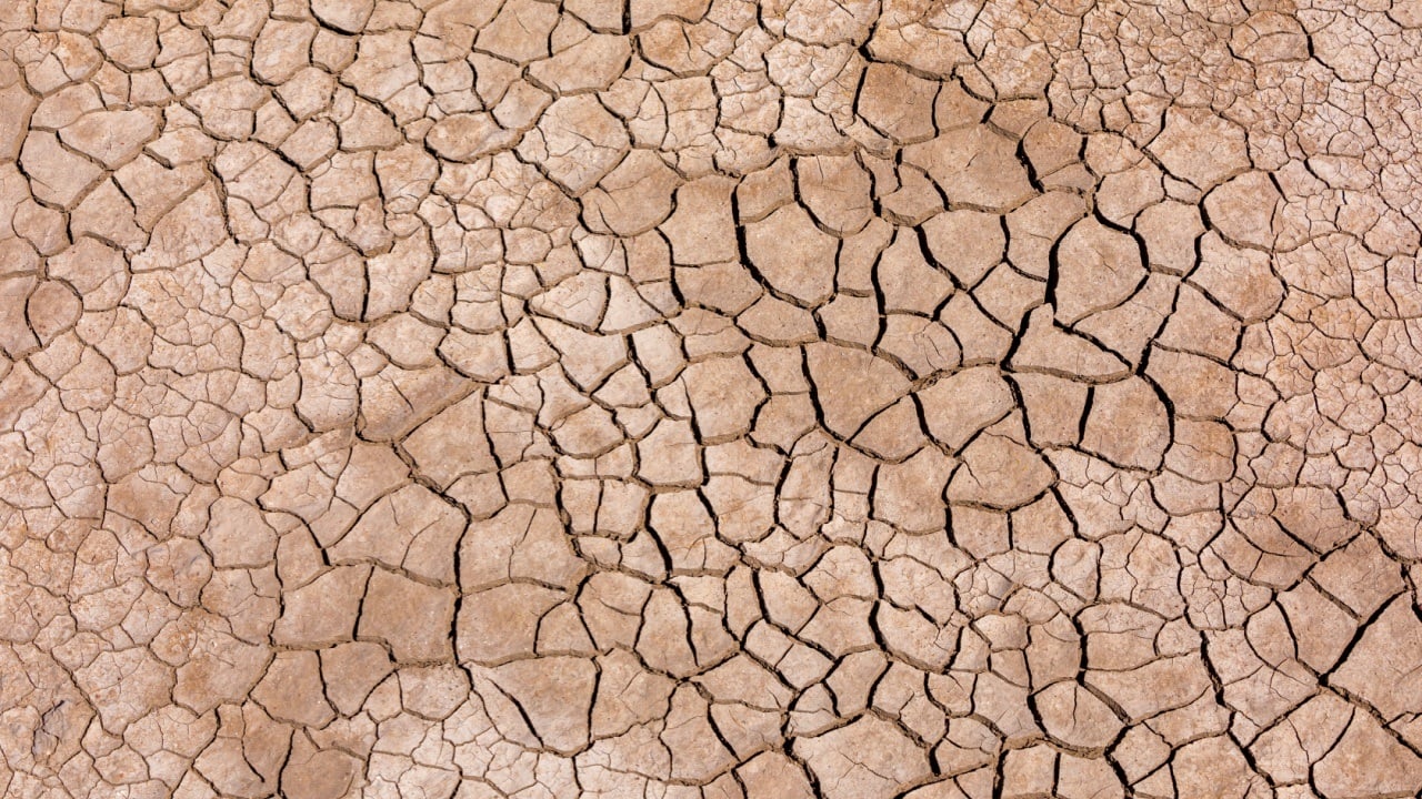 Ripple Deploys RLUSD in Kenya as Blockchain Aid Faces Real-World Drought Test