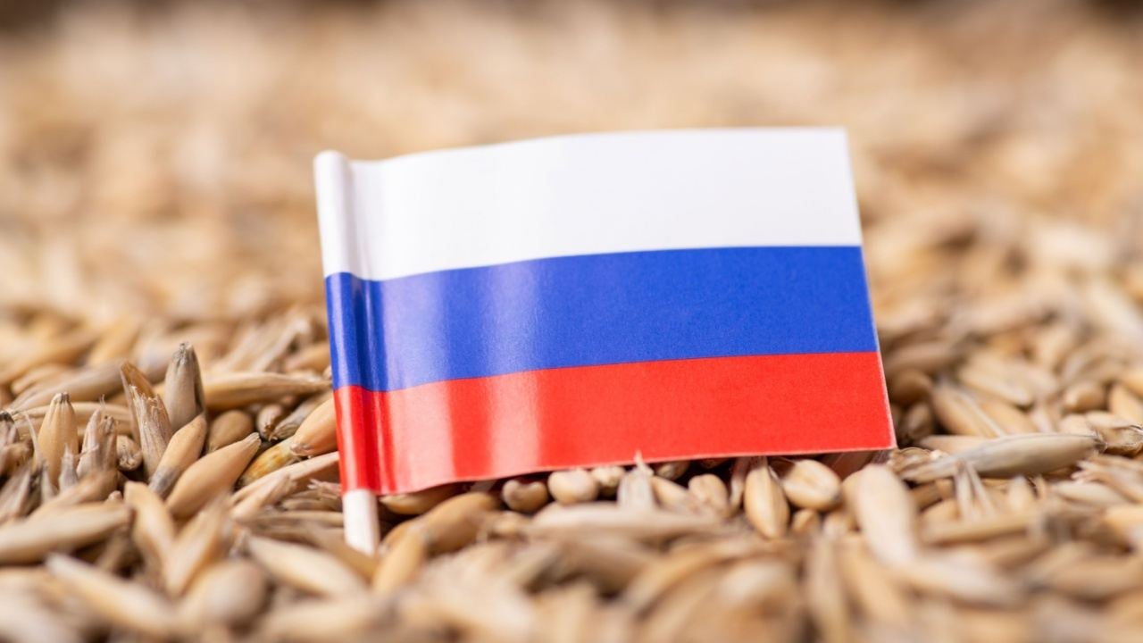 Russia Mulls Crypto to Settle 49.5M Tonnes in Grain Exports
