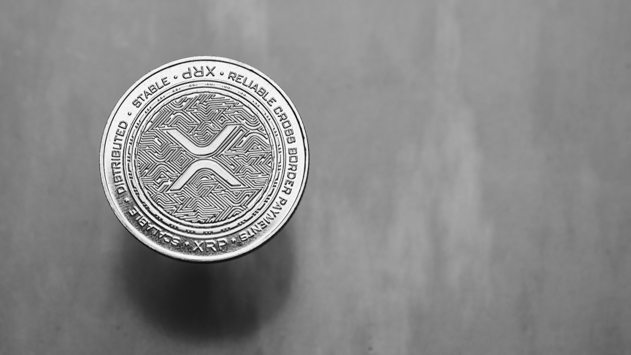 Bitso Report: XRP Rises as Dark Horse in Latam Portfolios
