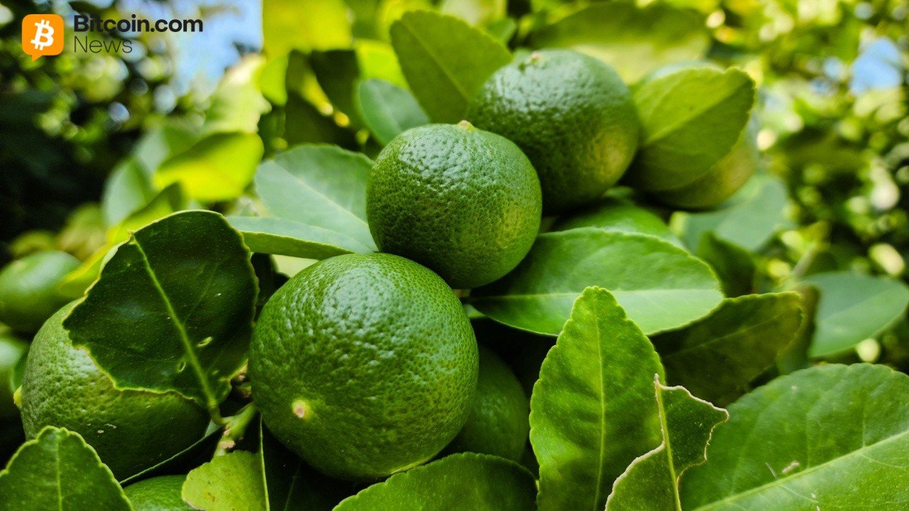 Crypto Investments Get Red Hot in Argentina: Lemon Raises $20M To Bankroll Latam Expansion