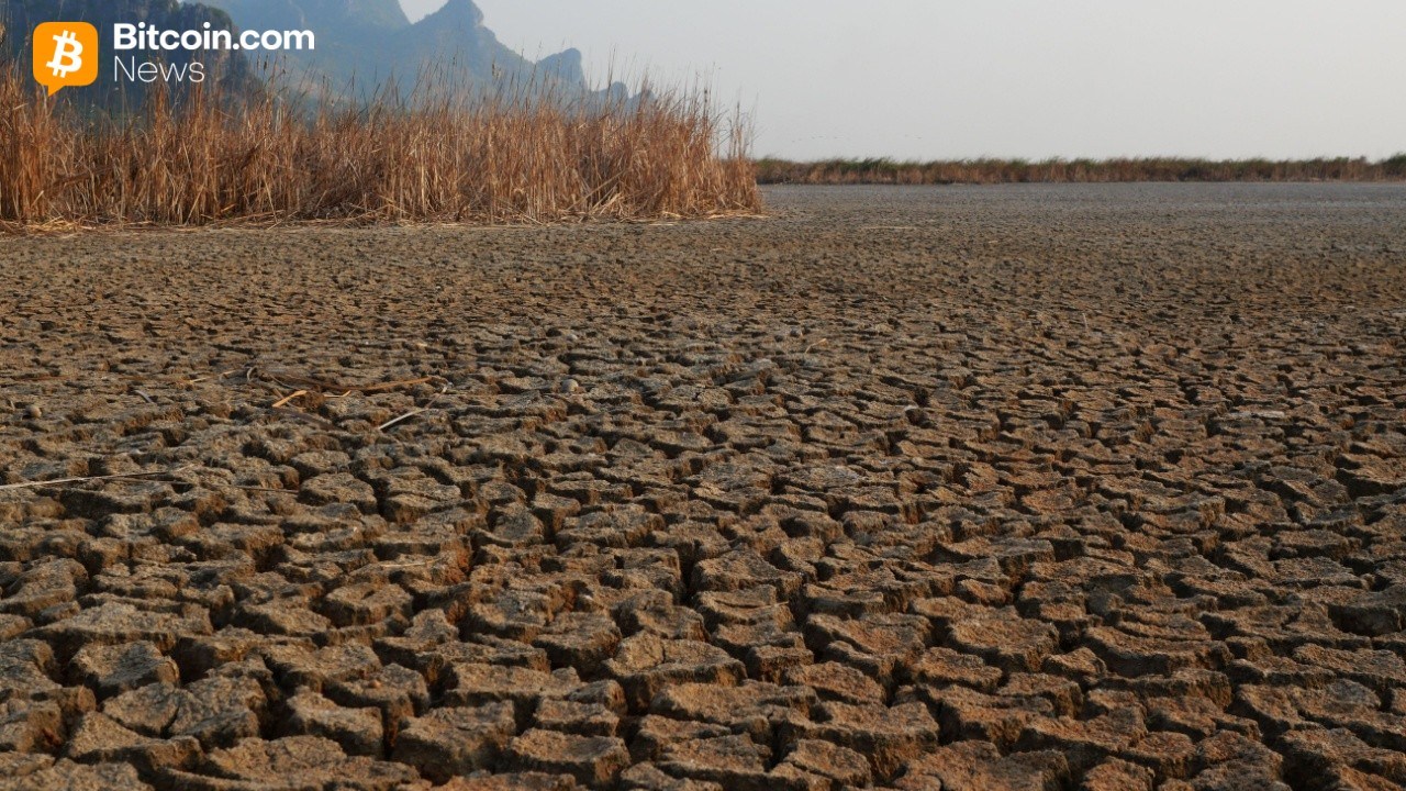 Mike McGlone's Scorched Earth Prediction: $56K Bitcoin in the Horizon