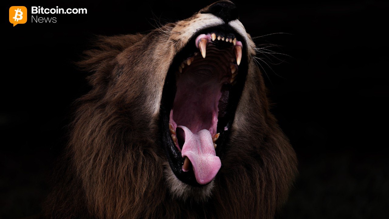 Bitcoin Eyes Explosive Rebound With Nasdaq-Size Moves Poised to Flip