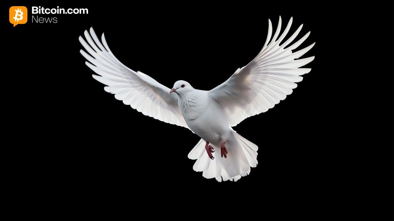 Arthur Hayes: Tether's Gold and BTC Hoarding Anticipates Heavy Interest Rate Cuts