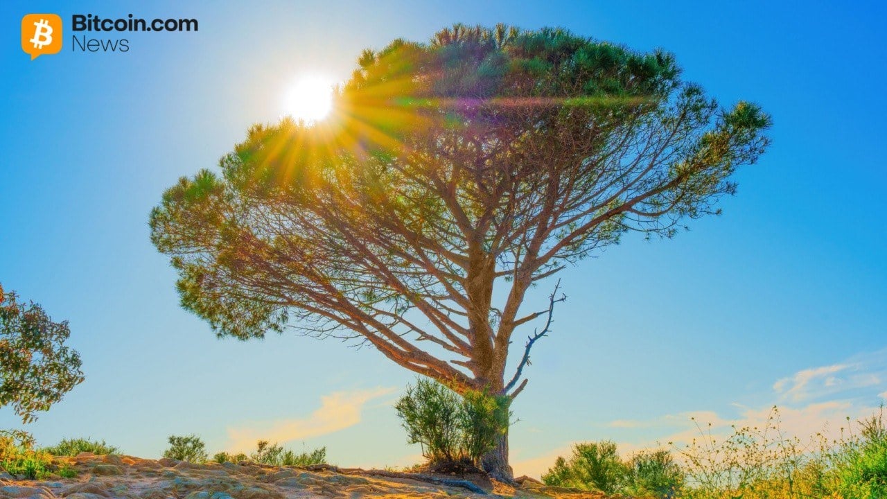 Wisdomtree Launches Tokenized Equity Options Strategy Fund for Crypto-Native Investors