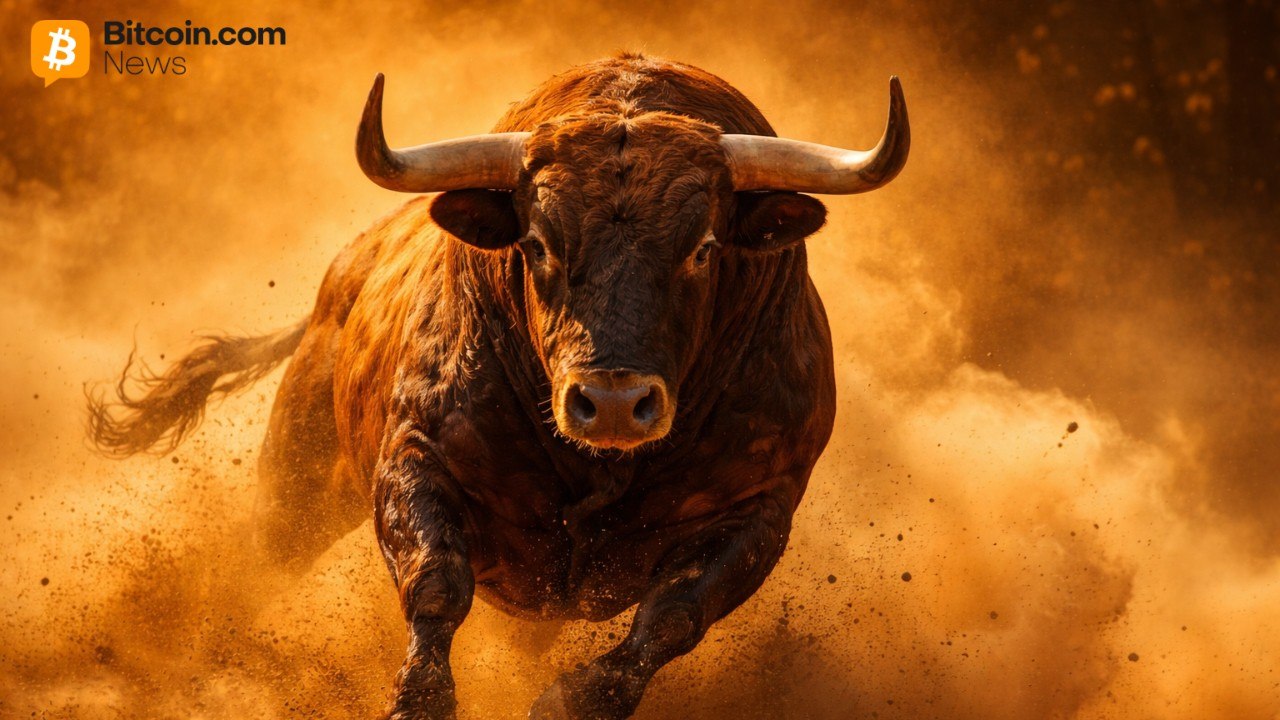 Crypto Bull Run Forming as Nine Powerful Forces Align, Bitwise Says