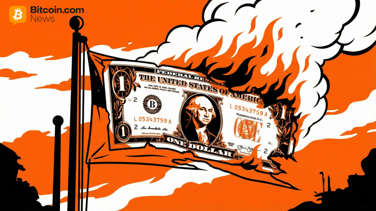 It Is Official: Analysts Consider the Dollar a 'Dangerous' Asset