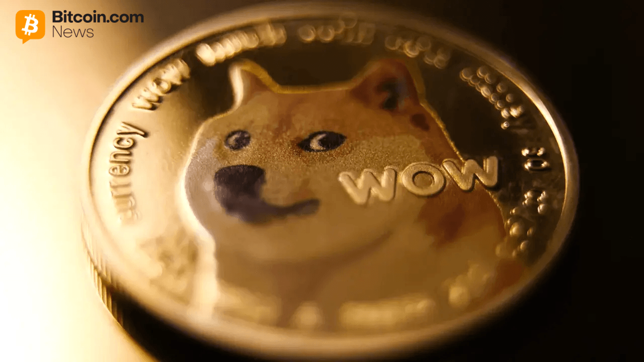 Dogecoin Wallets
