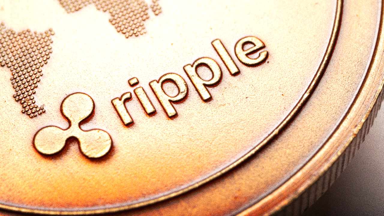 Ripple’s Schwartz Highlights XRP Use Cases Ahead of Largest-Ever Swell Event