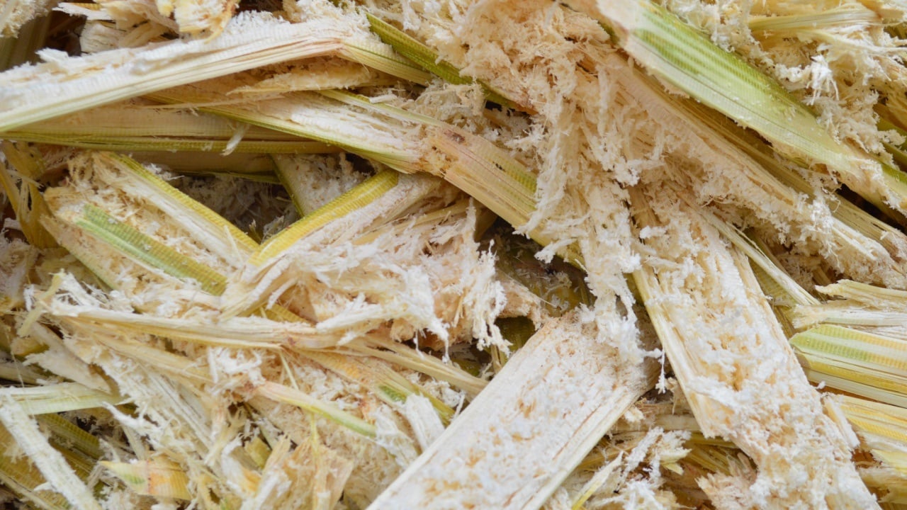 Sugarcane Residue