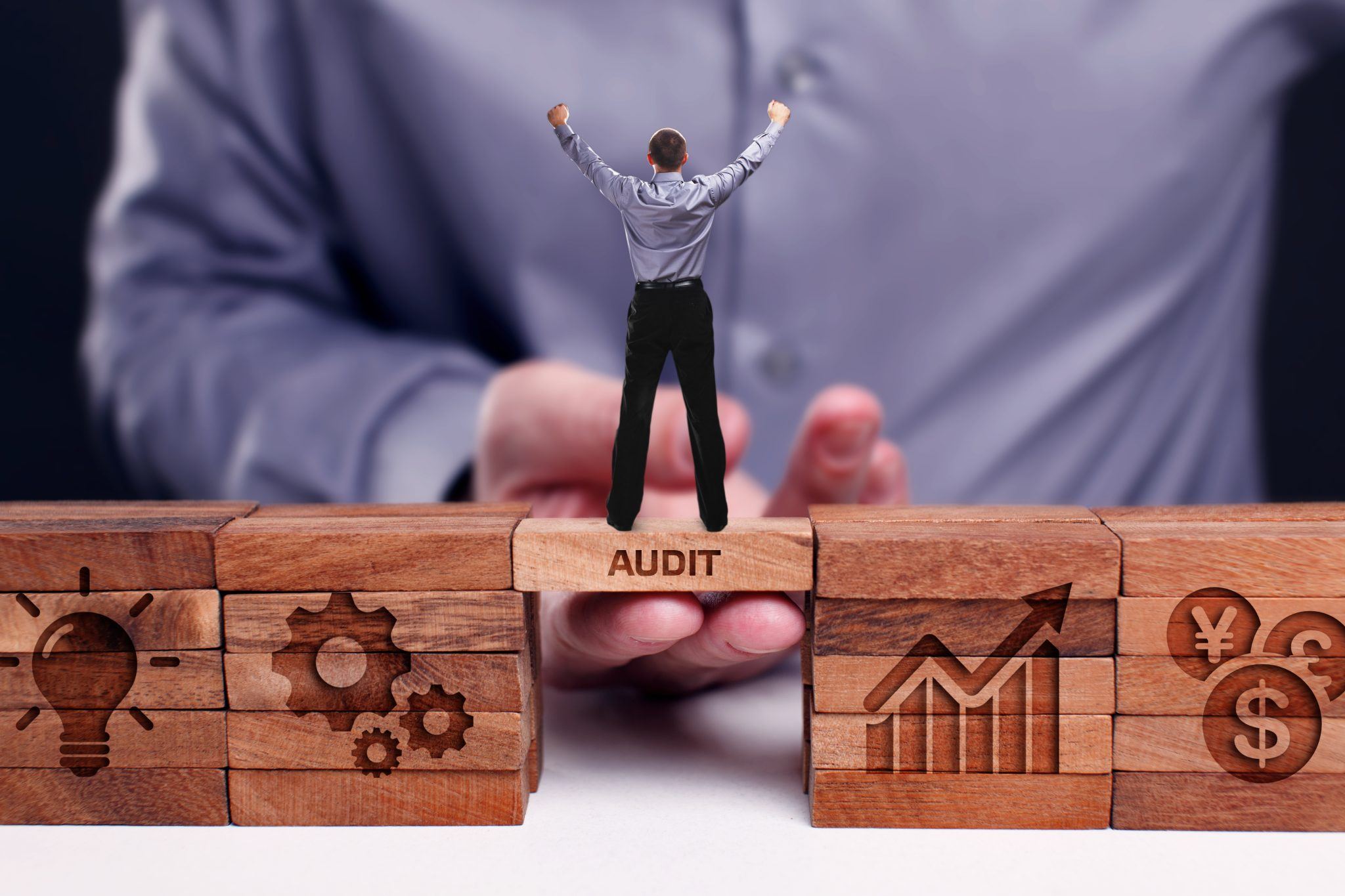 Audit image