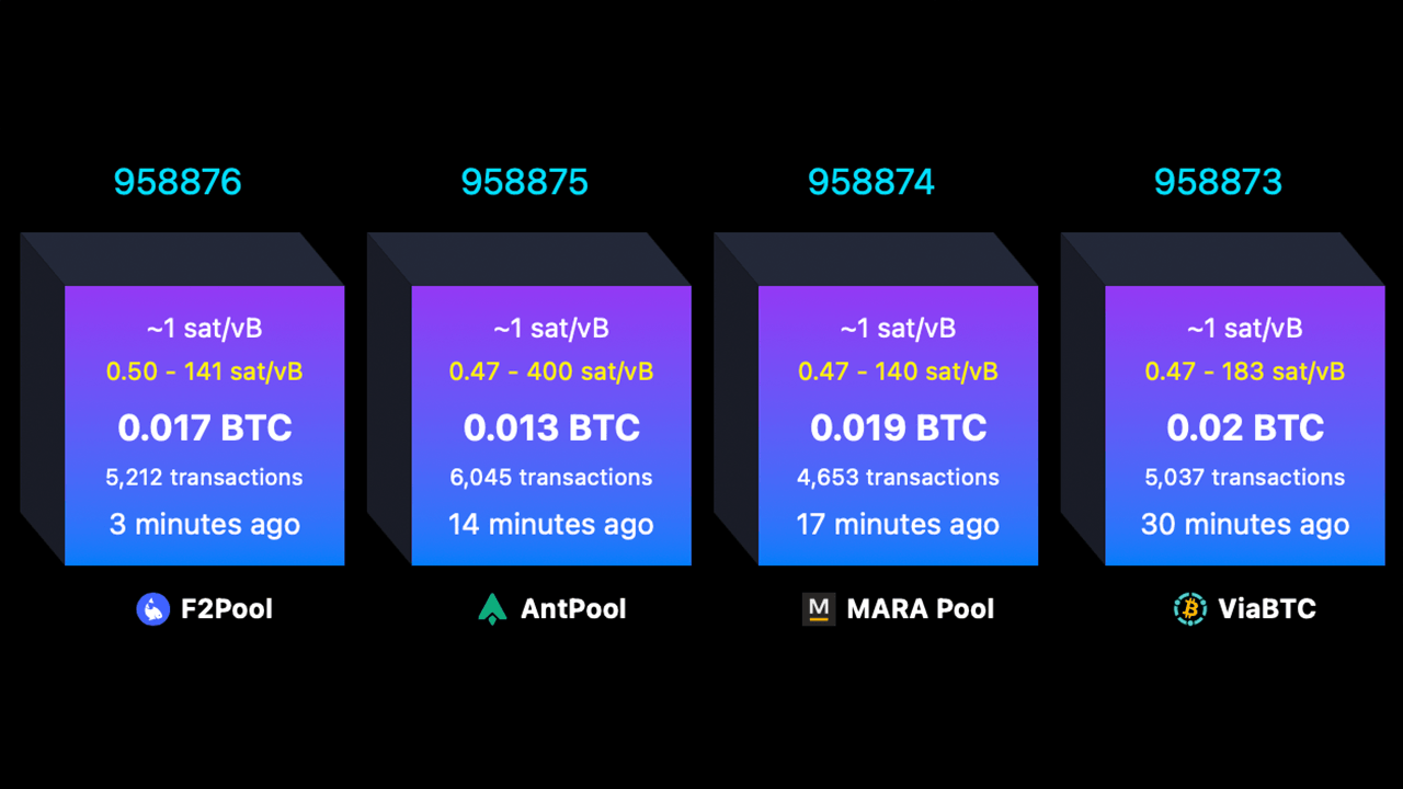 Mined blocks via mempool.space