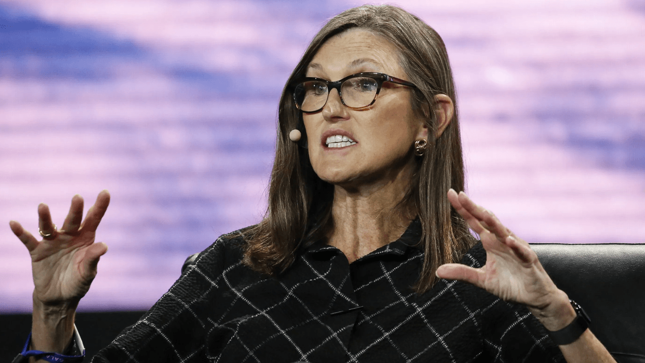 Image of Cathe Wood speaking at a conference.