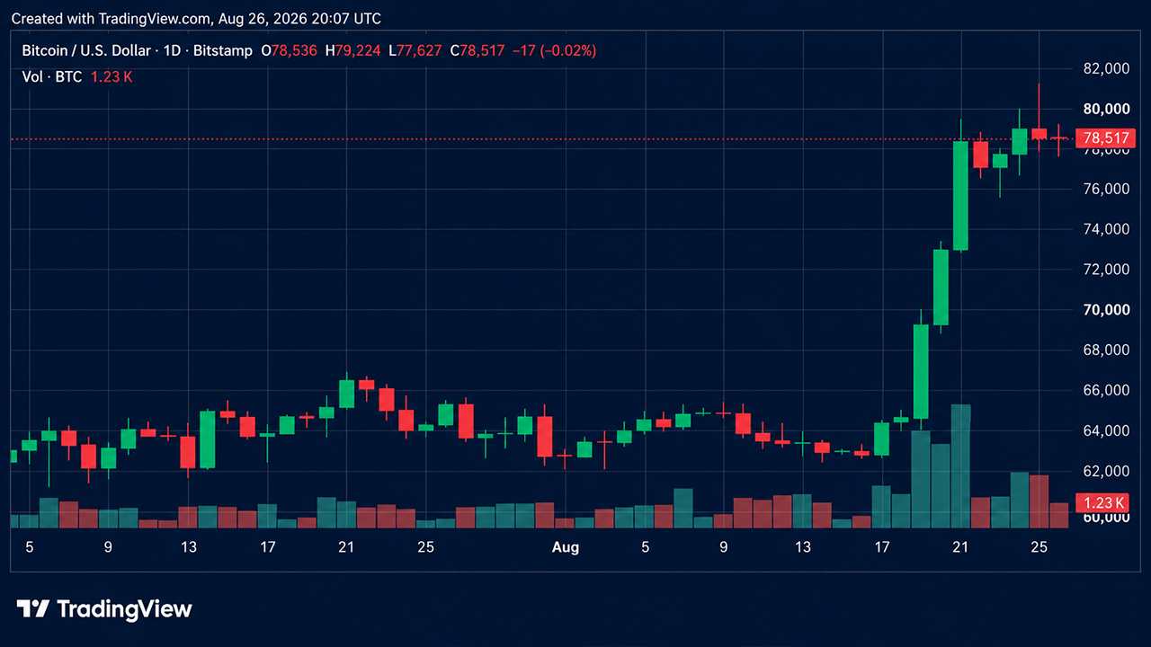 Bitcoin price chart