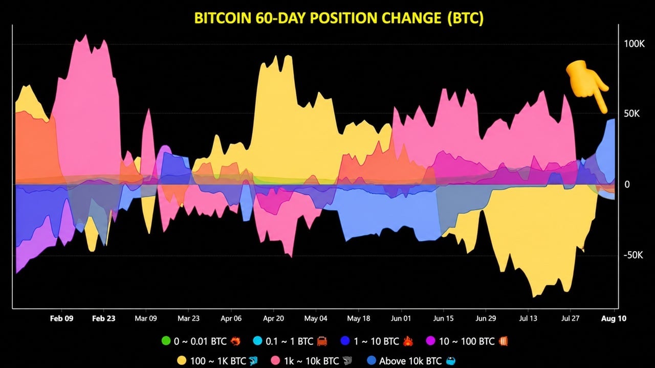 Bitcoin whale accumulation over the last 60 days.