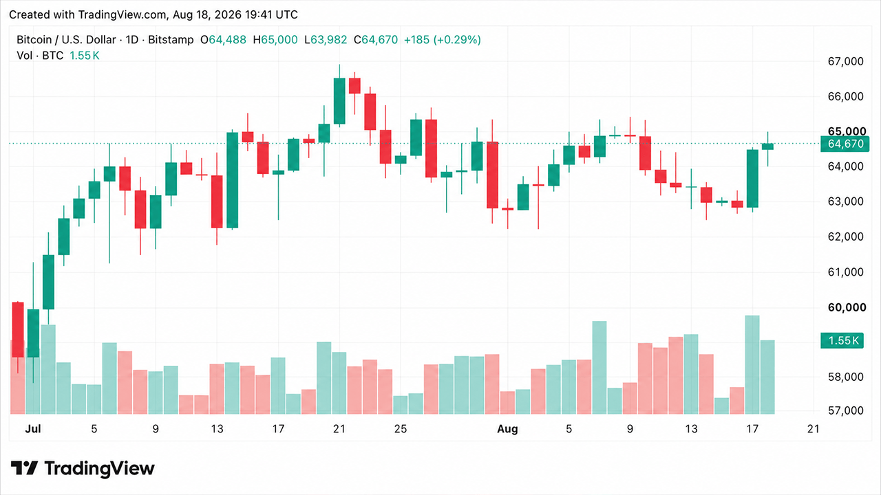 bitcoin daily chart