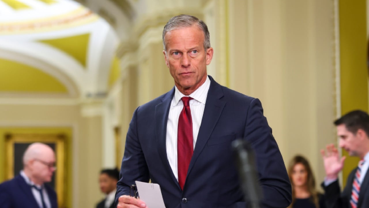 Majority Leader John Thune